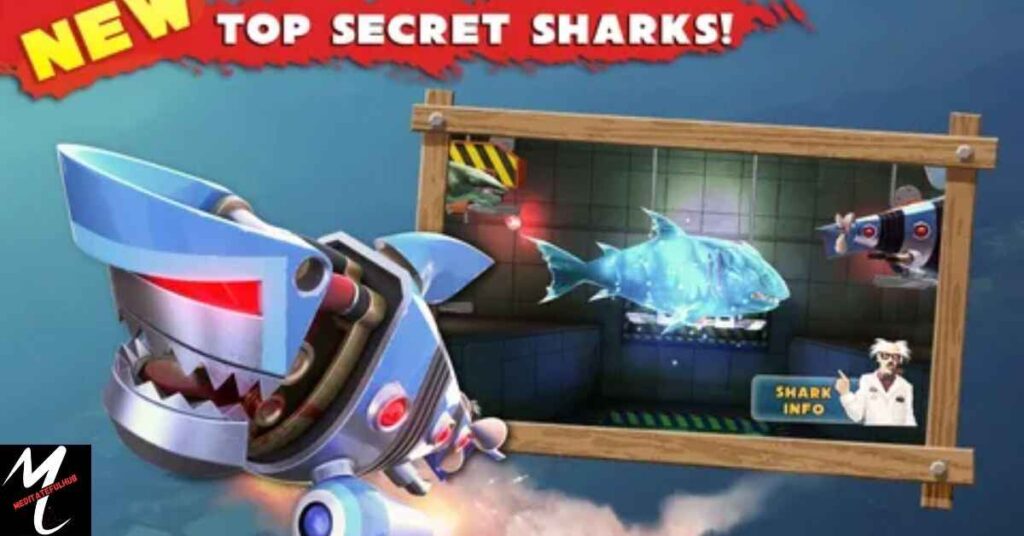 Shark Secret 777 Offers Secure and Safe Transactions