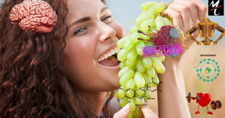 What Are the Health Benefits of Grapes A Complete Science-Based Guide